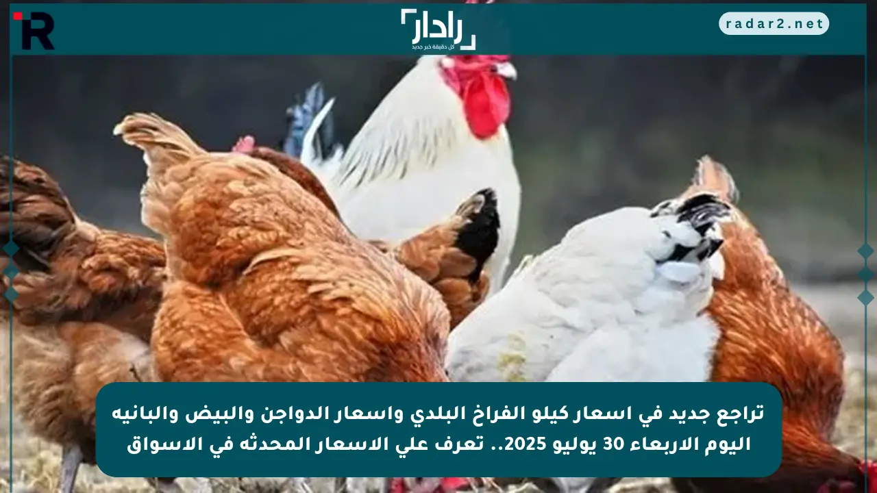 تراجع جديد في أسعار كيلو الفراخ البلدي وأسعار الدواجن والبيض والبانية اليوم الأربعاء 30 يوليو 2025.. تعرف على الأسعار المحدثة في الأسواق